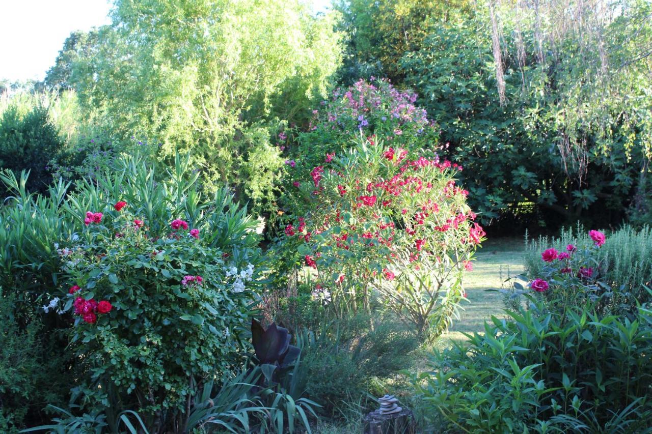 Mas Les Romarins, 10 Min D'Uzes, Piscine Et Grand Jardin Clos, Jeux, Nid De Repos Et Base Pour Activites Dans Le Gard (Adults Only) Eksteriør billede