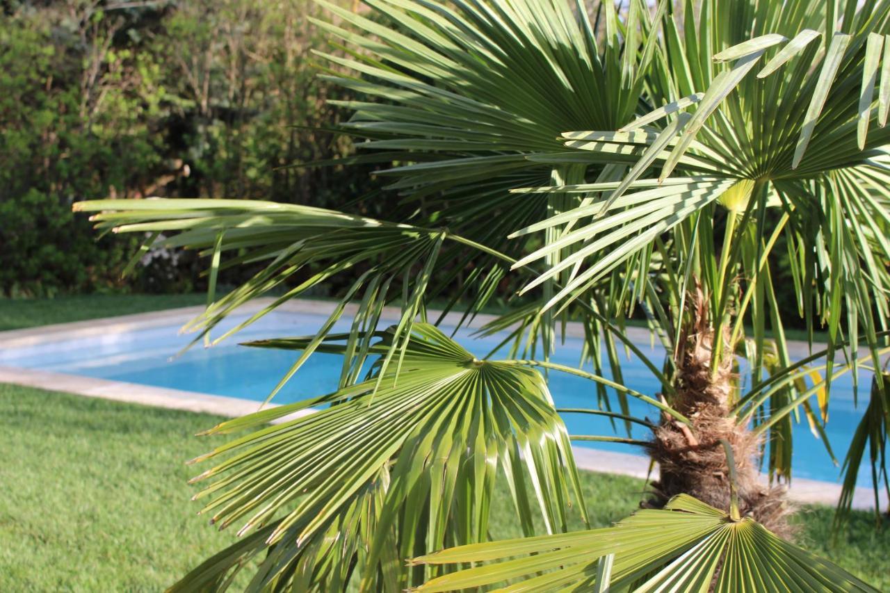 Mas Les Romarins, 10 Min D'Uzes, Piscine Et Grand Jardin Clos, Jeux, Nid De Repos Et Base Pour Activites Dans Le Gard (Adults Only) Eksteriør billede